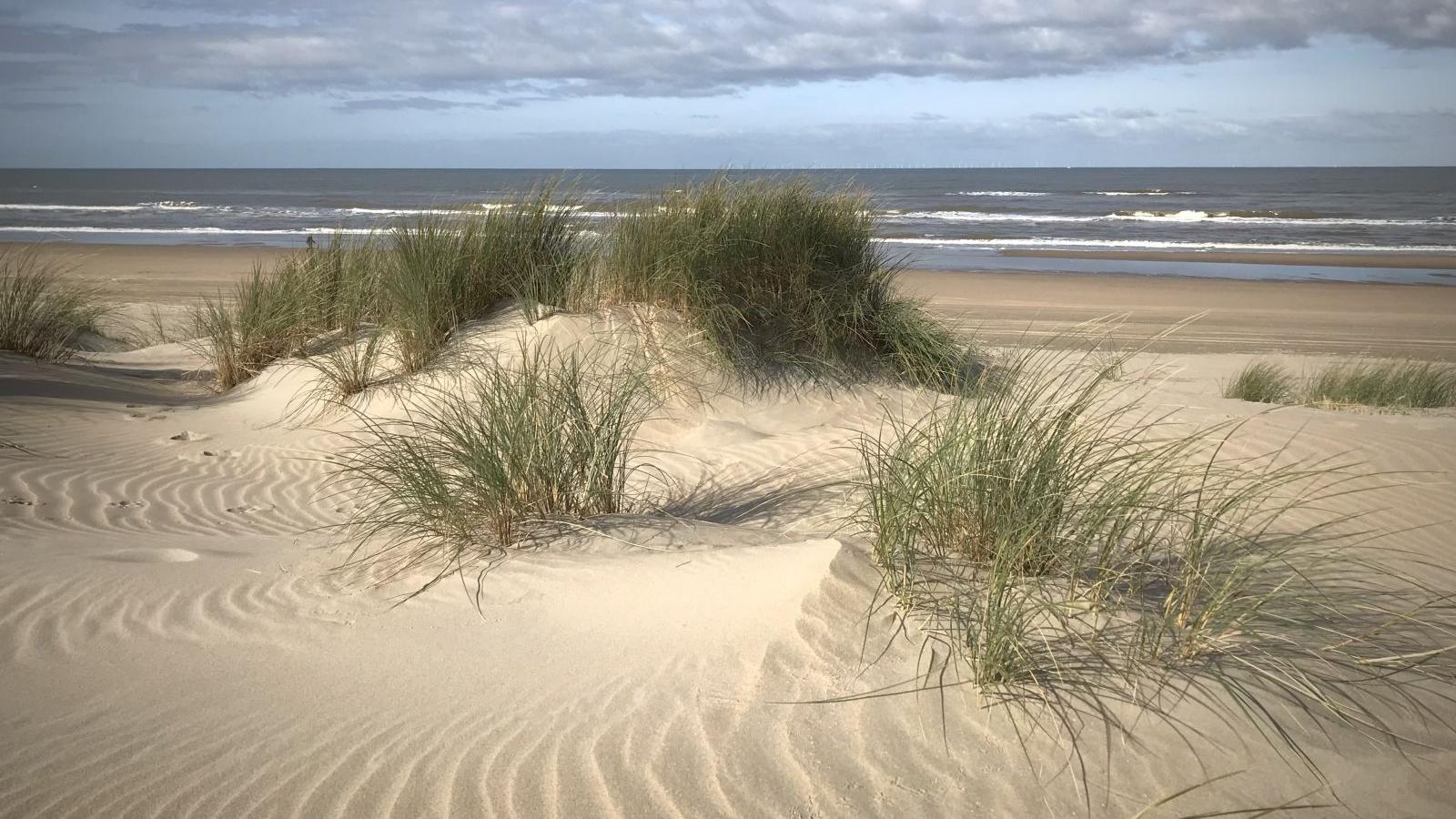 Strand von Zandvoort